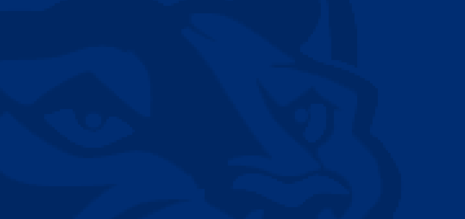 Sponsor Image